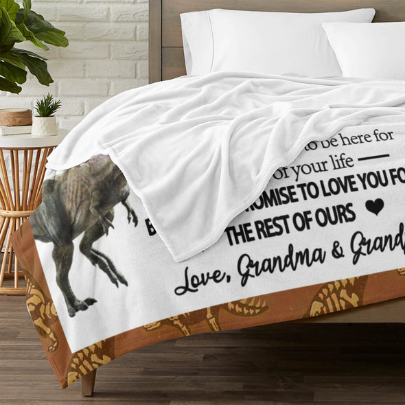 Dinosaur Blanket for Boys Kids Soft Flannel Blanket for Children's Toys are Suitable for Beds, Sofas and School Lunch Break-2-hml Balnket