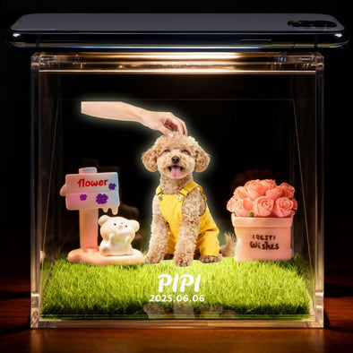 Personalized Dog Memorial Gifts 3D Projection Pet Holographic Digital House Custom with Name Dates for Cat Dog Lovers Desktop Ornaments Decor