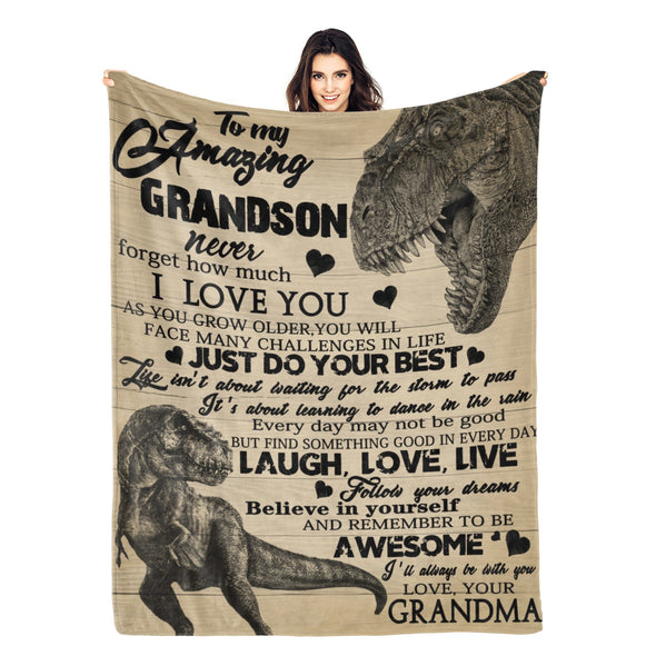 dinosaur blanket-28-hml