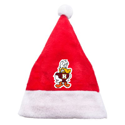 Personalized Santa Hat, Custom Christmas Hats with Name Pictures for Adults Kids